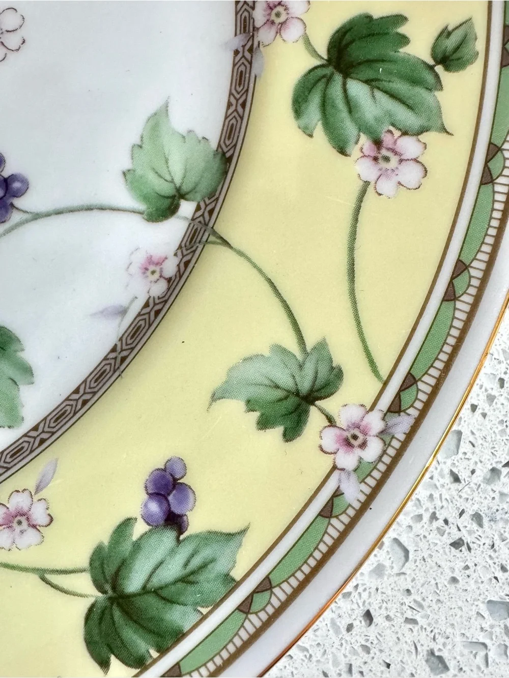 Andrea by Sadek Floral Ivy 11 Inch Decorative Wall Plate